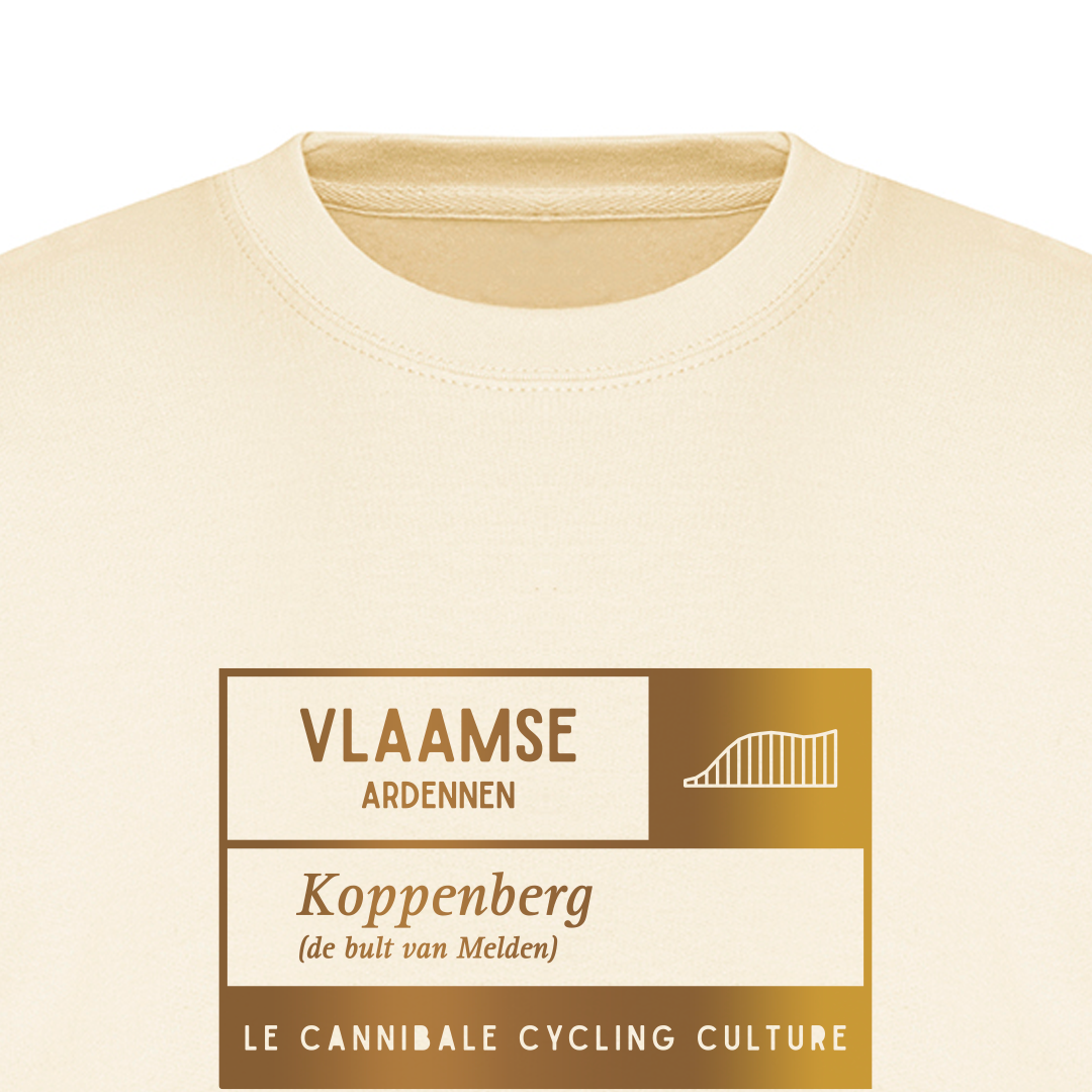 Fiets trui voor wielrenners - Koppenberg