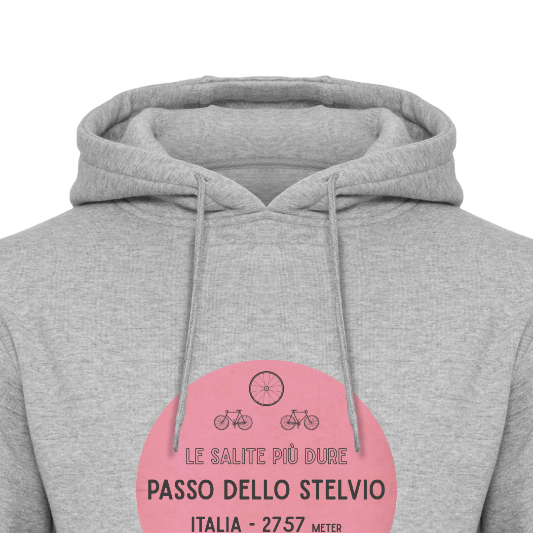 Wieler hoodie - Passo dello Stelvio